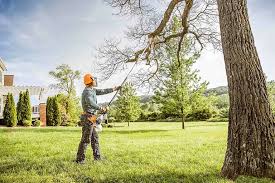 How Our Tree Care Process Works  in  Britton, SD
