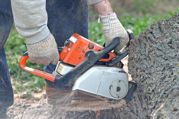 Mulching Services in Britton, SD